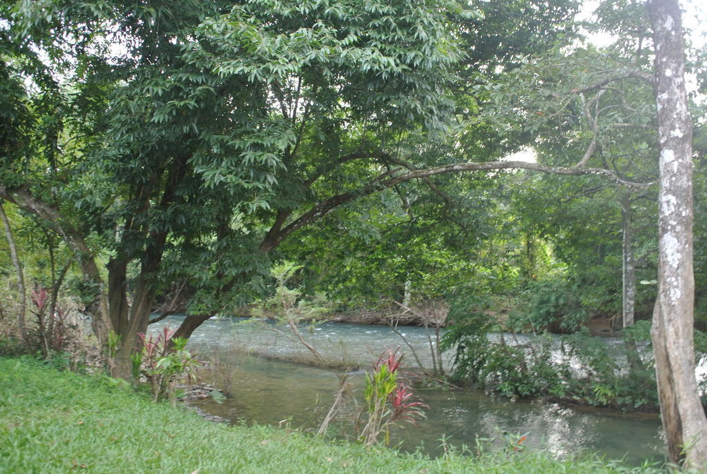 منتجع كاو سوك آيلاند Khao Sok National Park المظهر الخارجي الصورة