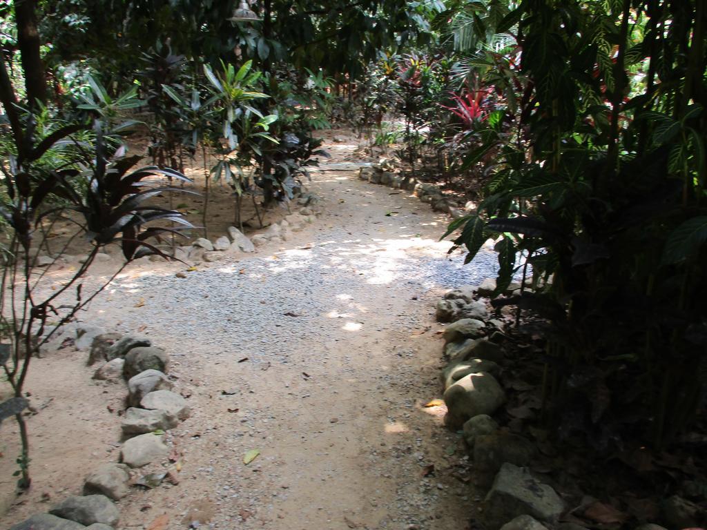 منتجع كاو سوك آيلاند Khao Sok National Park المظهر الخارجي الصورة