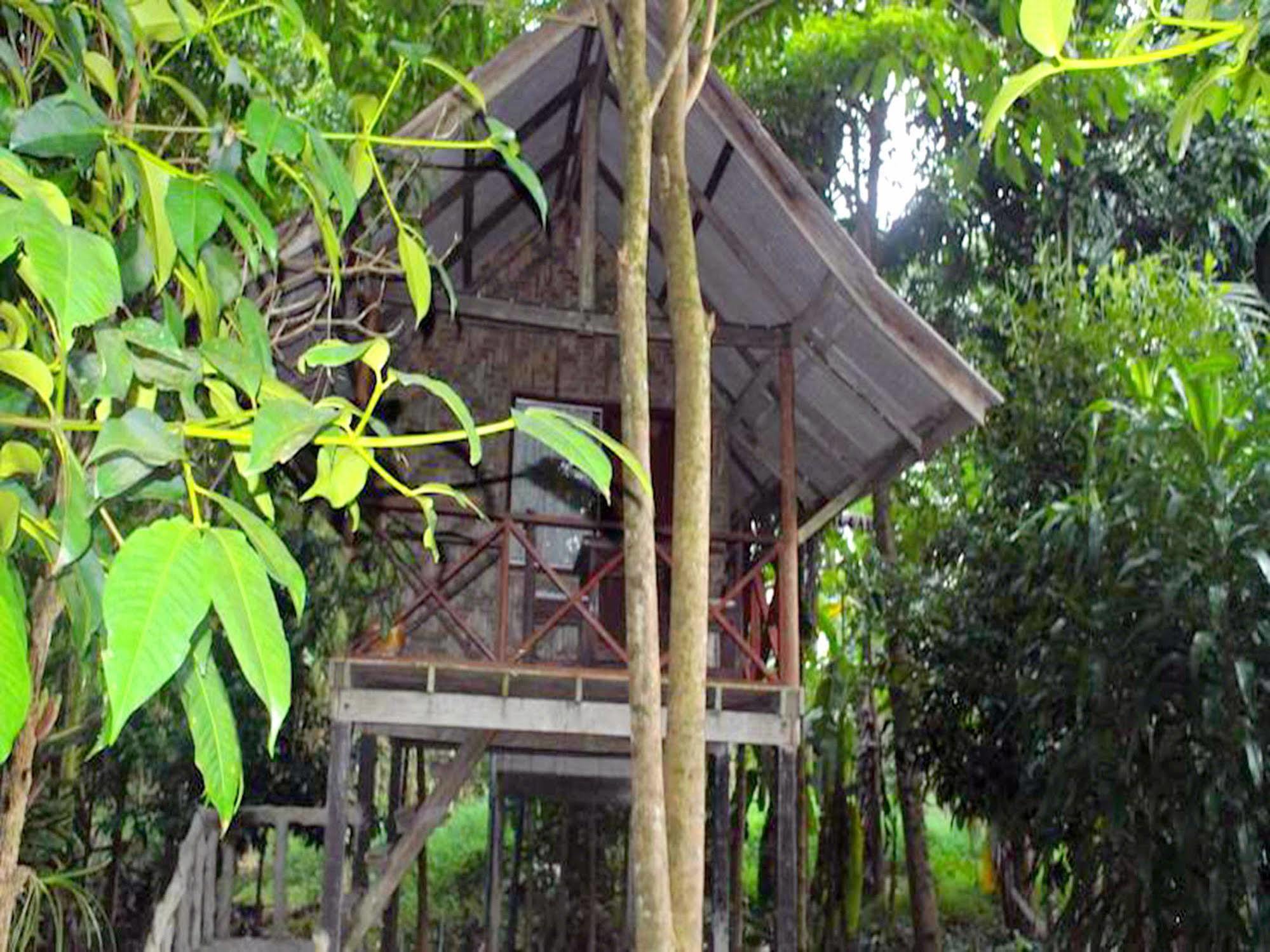 منتجع كاو سوك آيلاند Khao Sok National Park المظهر الخارجي الصورة