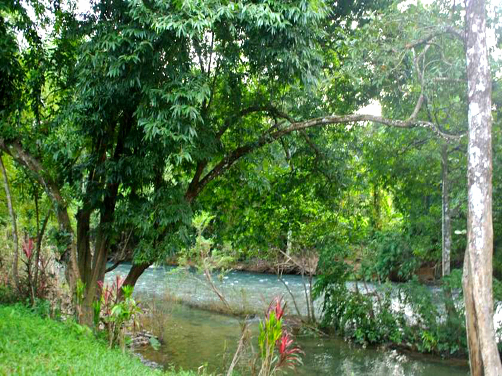 منتجع كاو سوك آيلاند Khao Sok National Park المظهر الخارجي الصورة