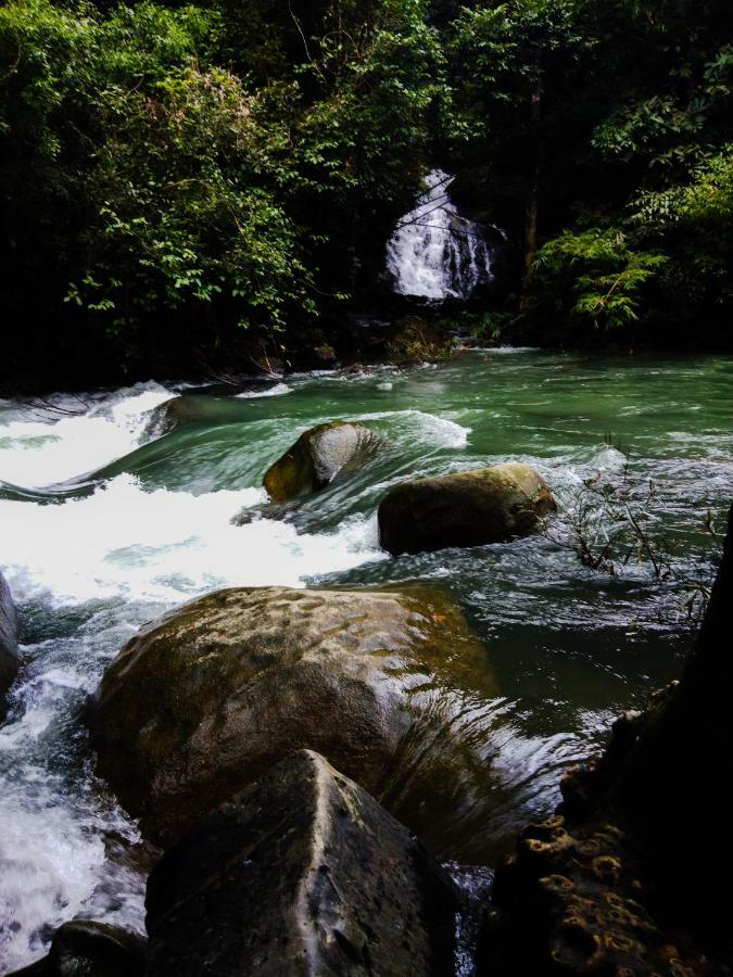 منتجع كاو سوك آيلاند Khao Sok National Park المظهر الخارجي الصورة