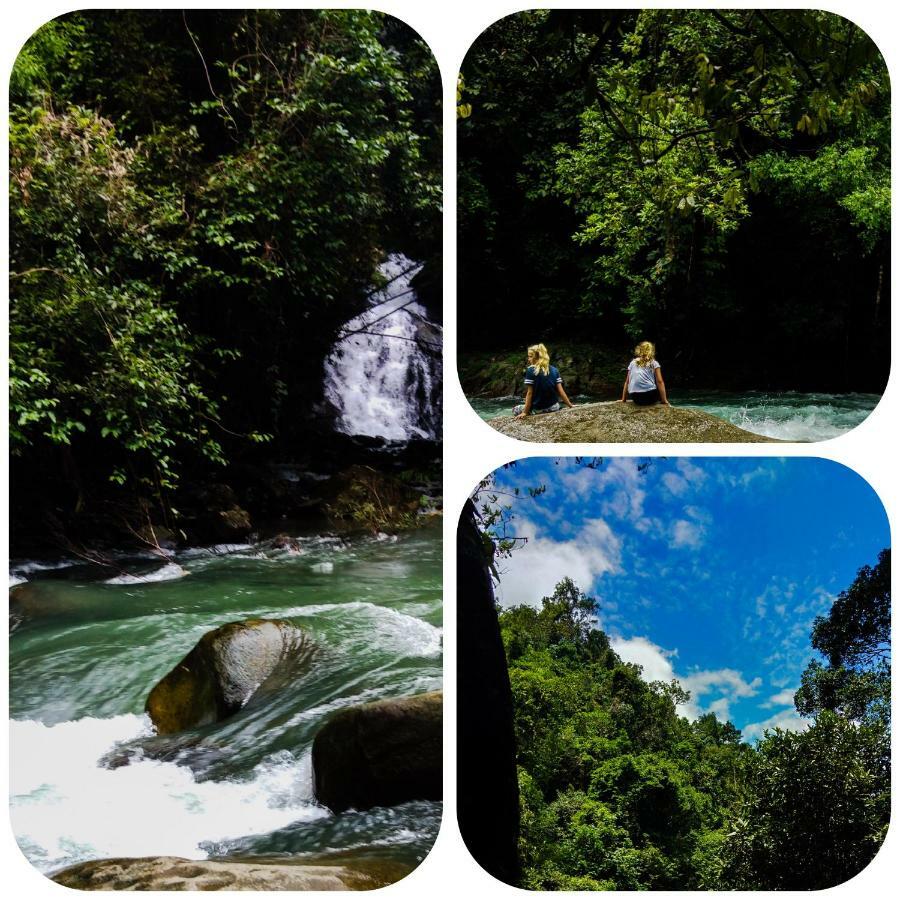 منتجع كاو سوك آيلاند Khao Sok National Park المظهر الخارجي الصورة